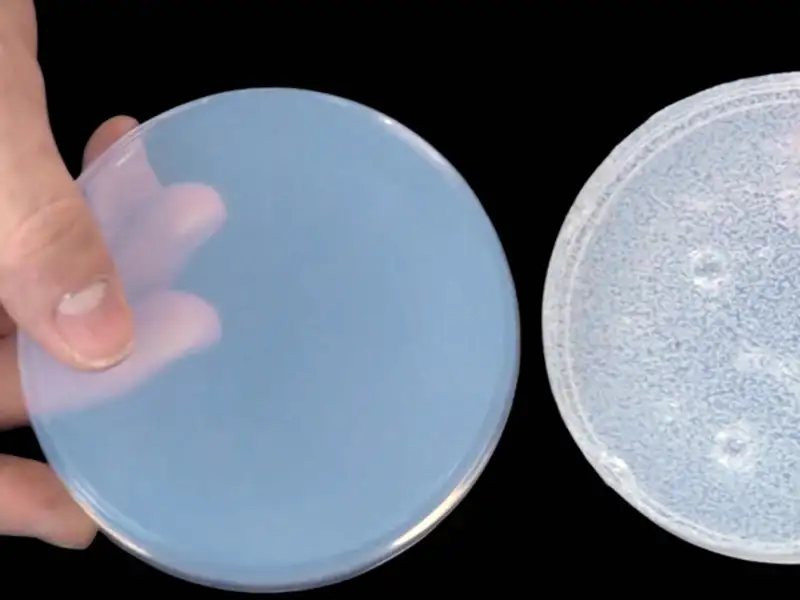 học làm khuôn tượng thạch cao, cách làm khuôn thạch cao, tự học đổ khuôn tượng thạch cao, hướng dẫn làm khuôn thạch cao, học đổ tượng thạch cao tại nhà, cách làm tượng thạch cao thủ công, kỹ thuật đổ khuôn thạch cao, học nghề làm tượng thạch cao, dạy làm khuôn tượng thạch cao, tự làm tượng thạch cao bước đầu